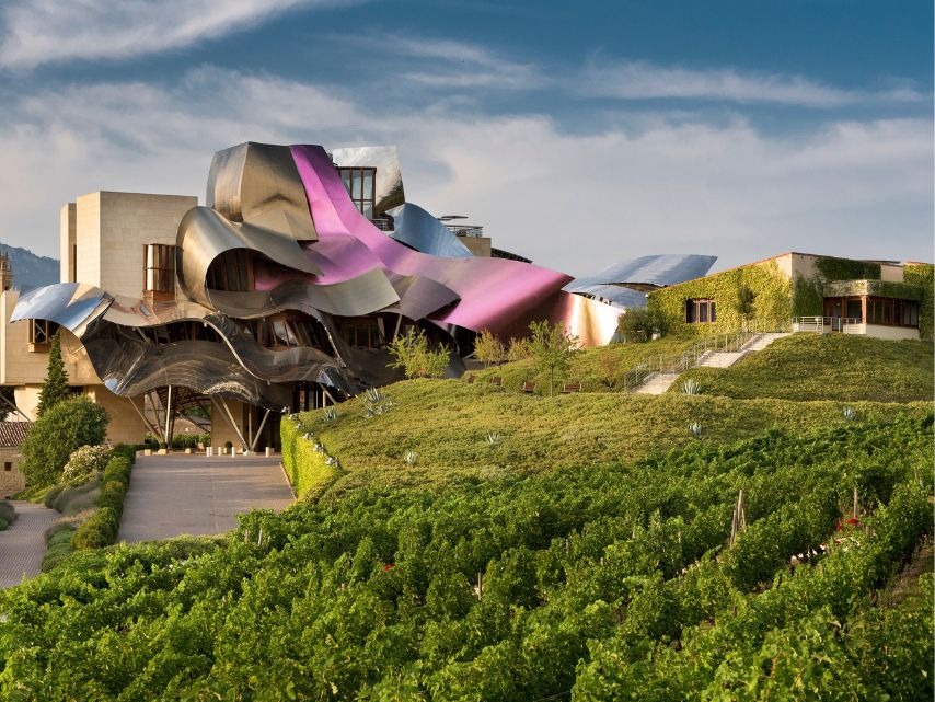 Bodegas de los Herederos del Marques de Riscal _Baron de Chirel Verdejo Vinas Centenarias_2021_WBSS24